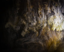 Load image into Gallery viewer, Whales in Monterey